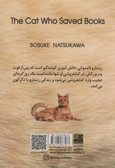 عکس گربه‌ای که کتاب‌ها را نجات داد