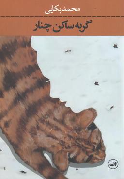عکس گربه ساکن چنار