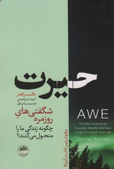 عکس حیرت (شگفتی‌های روزمره چگونه زندگی ما را متحول می‌کنند؟)