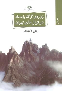 عکس زوزهٔ گرگ پا به ماه در تونل‌های تهران