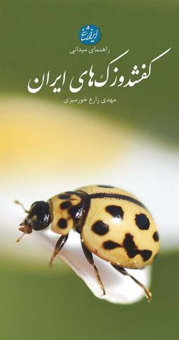 عکس راهنمای میدانی کفشدوزک‌های ایران (گلاسه)