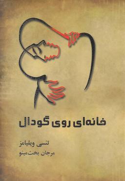 عکس خانه‌ای بر روی گودال