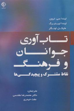 عکس تاب آوری جوانان و فرهنگ (نقاط مشترک و پیچیدگی‌ها)