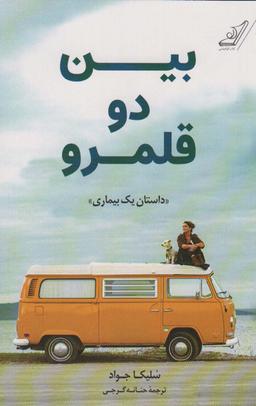 عکس بین دو قلمرو «داستان یک بیماری»