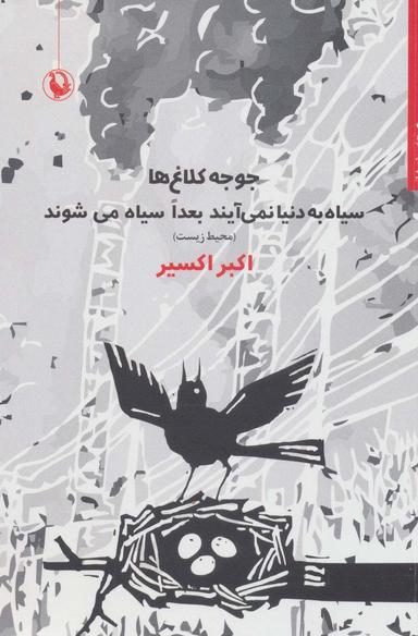 عکس جوجه کلاغ‌ها سیاه به دنیا نمی‌آیند بعدا سیاه می‌شوند (محیط زیست)