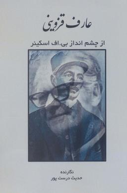 عکس عارف قزوینی از چشم انداز بی. اف اسکینر