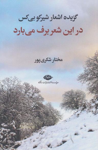 عکس در این شعر برف می‌بارد (گزیده اشعار شیرکو بی‌کس)