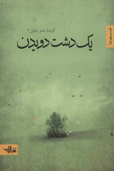عکس یک دشت دویدن (گزیده شعر جوان ۲)