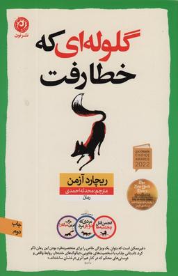 عکس گلوله‌ای که خطا رفت