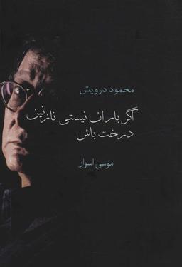 عکس اگر باران نیستی نازنین درخت باش