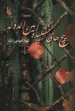 عکس پیچ‌های خشکیده امین الدوله