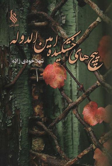عکس پیچ‌های خشکیده امین الدوله