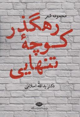 عکس رهگذر کوچه تنهایی (مجموعه شعر)