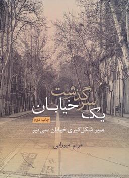 عکس سرگذشت یک خیابان (سیر شکل گیری خیابان سی تیر)، (گلاسه، باقاب)