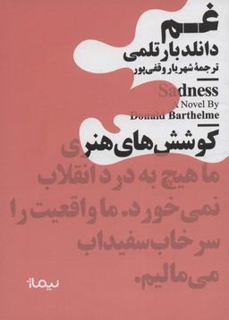 عکس غم (مینیماژ)
