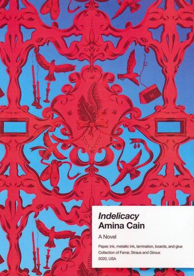 عکس INDELICACY:نابخردی (زبان اصلی، انگلیسی)