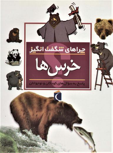 عکس خرس‌ها