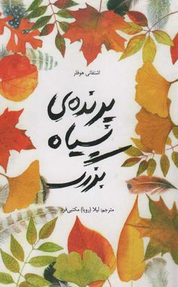 عکس پرندهٔ سیاه بزرگ
