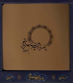 عکس پرنده زیر چتر هم خیس می‌شود (باجعبه)