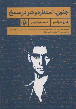 عکس جنون، استعاره و شر در مسخ