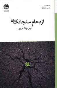 عکس ازدحام سنجاقک‌ها