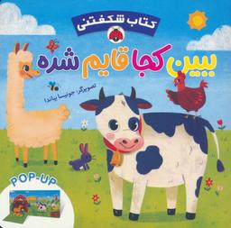 عکس کتاب برجسته ببین کجا قایم شده (کتاب شکفتنی)