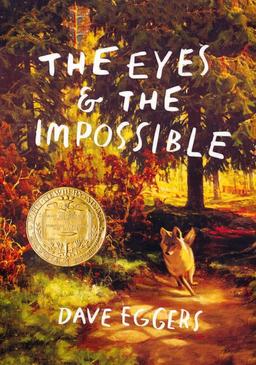 عکس THE EYES AND THE IMPOSSIBLE:چشم‌ها و غیرممکن‌ها (زبان اصلی، انگلیسی)