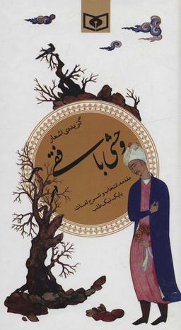 عکس گزیده اشعار وحشی بافقی