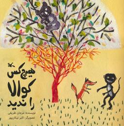 عکس هیچ کس کوالا را ندید (گلاسه)