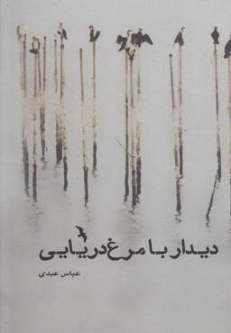 عکس دیدار با مرغ دریایی