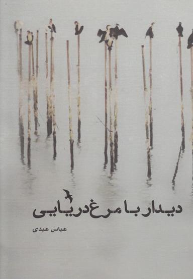 عکس دیدار با مرغ دریایی