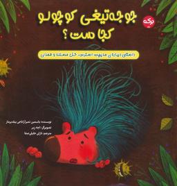 عکس جوجه تیغی کوچولو کجاست؟
