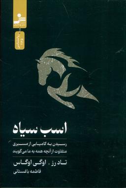 عکس اسب سیاه (رسیدن به کامیابی از مسیری متفاوت از آنچه همه به ما می‌گویند)