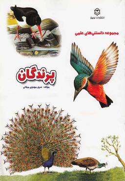 عکس پرندگان