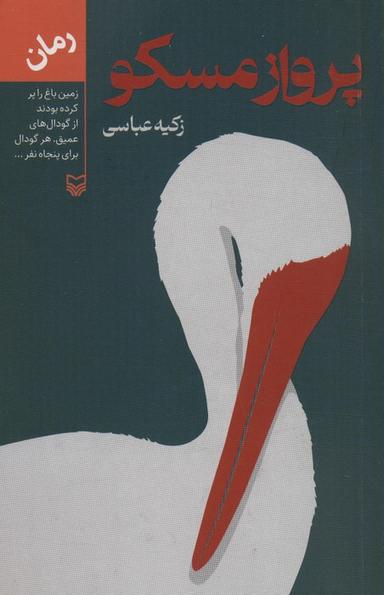 عکس پرواز مسکو