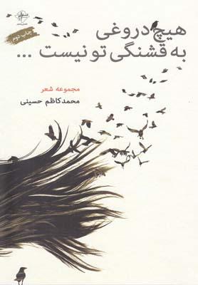 عکس هیچ دروغی به قشنگی تو نیست