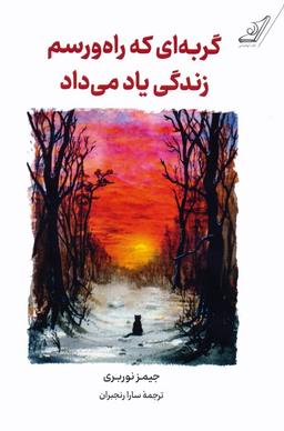 عکس گربه‌ای که راه و رسم زندگی یاد می‌داد