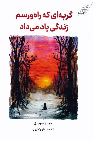 عکس گربه‌ای که راه و رسم زندگی یاد می‌داد