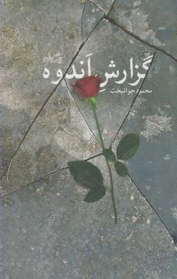 عکس گزارش اندوه