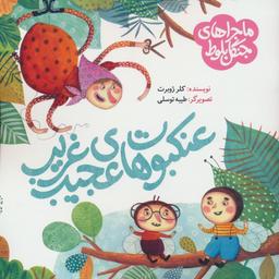 عکس ماجراهای جنگل بلوط (عنکبوت‌های عجیب و غریب)