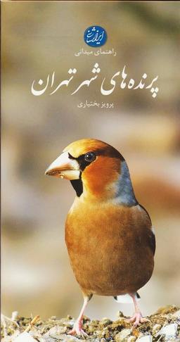 عکس پرنده‌های شهر تهران (راهنمای میدانی)، (گلاسه)