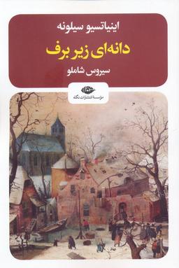 عکس دانه‌ای زیر برف