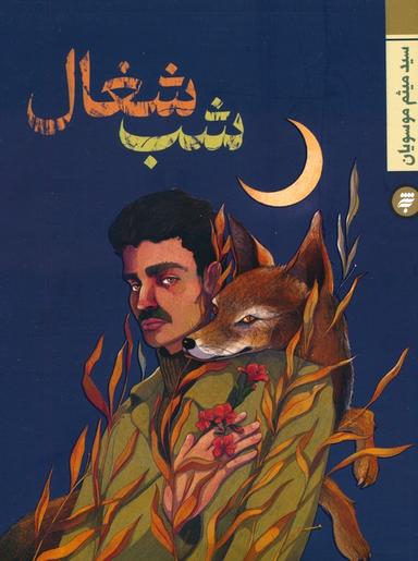 عکس شب شغال