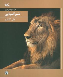 عکس شیر آسیایی (حیات وحش ایران)