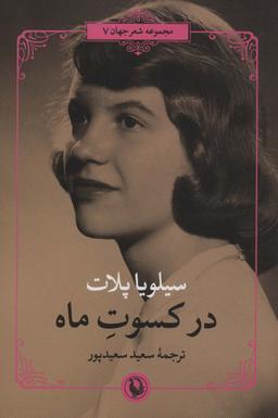 عکس در کسوت ماه (شعر جهان)