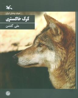 عکس گرگ خاکستری (حیات وحش ایران)