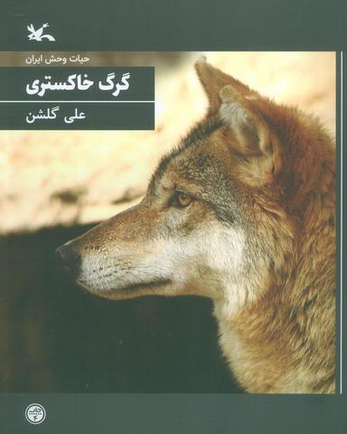عکس گرگ خاکستری (حیات وحش ایران)