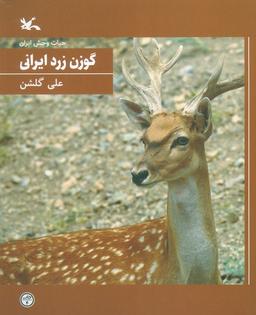 عکس گوزن زرد ایرانی (حیات وحش ایران)