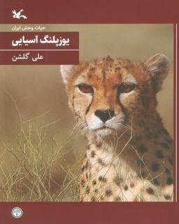 عکس یوزپلنگ آسیایی (حیات وحش ایران)