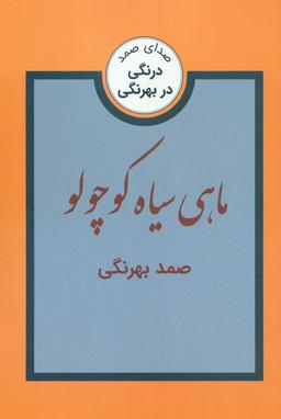 عکس ماهی سیاه کوچولو و سه داستان دیگر (درنگی در بهرنگی)